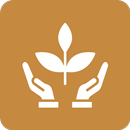 Composition of Products APK