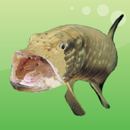 Coarse and Game Fishing aplikacja
