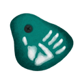 MaxiGrip Hangboard Trainer
