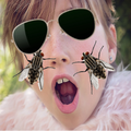 AR Camera Video Effects