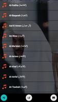 قرأن كامل ماهرالمعيقلي بدون نت captura de pantalla 1