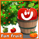Fun Fruit Collection Game Collect different Fruits APK