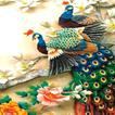 ”ColorFul Peacock LiveWallpaper
