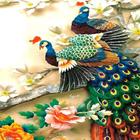 ColorFul Peacock LiveWallpaper icône