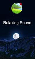 Nature Relaxing Sounds poster