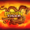 Dragon Tiger Slot Casino Game
