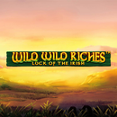 Wild Wild Riches Slot Casino-APK