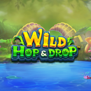 Wild Hop Drop Slot Casino Game APK