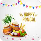 Pongal Wishes Greeting icône