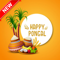 Pongal Wishes