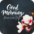 Good Morning Greeting Card