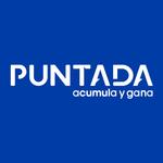 Puntada icon