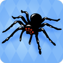 APK Spider Solitario