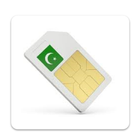 Sim Information System icon