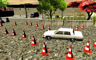 Pak Car Driving License test capture d'écran 2