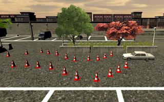 Pk Car Driving License Test تصوير الشاشة 3