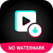 Douyin Video Downloader icon