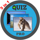 Word Games: guessing games Pro APK