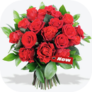 صور أحلى بوكيات ورود APK