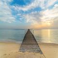 Sokhna Trips