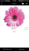 Body Sense Esthetics Online poster