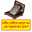 হাদীসে রাসূলের নবুওয়তের প্রমাণ