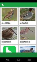 Richiami Uccelli Birdwatching plakat