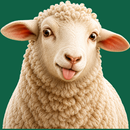 SooqFalah-APK