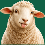 SooqFalah