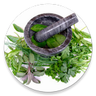 தமிழ்மருத்துவம் SiddhaMedicine آئیکن