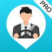 Autovehicle Pro-icoon