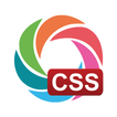 ”Learn CSS