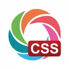 Learn CSS icon