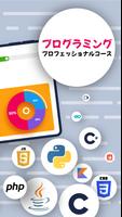 Sololearn スクリーンショット 1