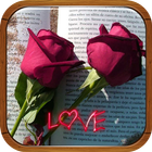 rosas de amor con frases icône