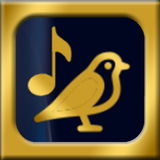 Amazing Alarm Clock APK