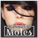 Meaning of Moles APK