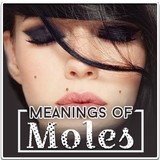 Meaning of Moles icône