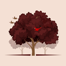 SOLACE - Quality Movies & TV APK