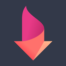 Firedown Browser & Downloader APK
