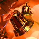 Christmas Facts APK