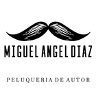 Miguel Angel Díaz icône