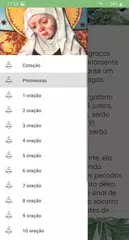 Baixar As 15 orações de Santa Brígida APK