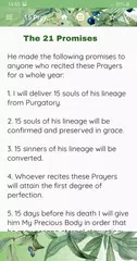 15 Prayers of St. Bridget APK download