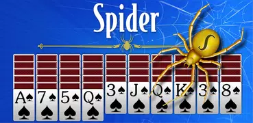 Spider Solitaire: Large Cards!