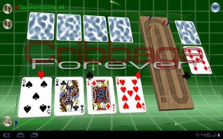 Cribbage Forever Plakat