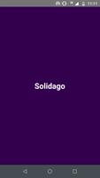 Solidago poster