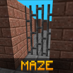 Multicraft Maze 3D