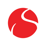 Solidsport-icoon