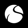 Solidsport Report